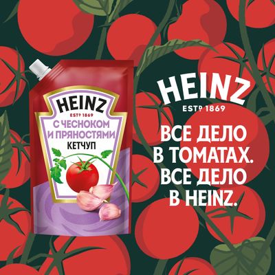 Томатный кетчуп Heinz с чесноком и пряностями, 320г