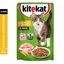 Влажный корм Kitekat для взрослых кошек со вкусом курицы в желе Аппетитная курочка, 85г