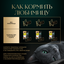 Влажный корм для кошек Sheba Ломтики в соусе с уткой, 28х75г