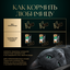 Влажный корм для кошек Sheba Ломтики в желе с кроликом, 28х75г