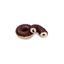 Донат Stokson TRIPLE CHOC c шоколадной начинкой коробка 12 шт*69 г