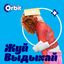 Жевательная резинка Orbit XXL Сладкая мята без сахара, 19 г