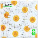 Салфетки бумажные BGREEN 3сл 20шт 33*33см Ромашки