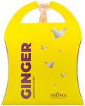 Саше Aroma Harmony 10г ароматизированное GINGER