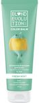 ТОНИКА 125мл BLONDEVOLUTION Fresh mint (мятный)*6
