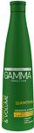 Шампунь для волос GAMMA Perfect Hair 350мл склонных к жирности Свежесть и Объем