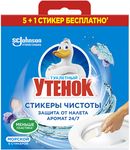 Средство для унитаза ТУАЛЕТНЫЙ УТЕНОК 6х10г Стикер Чистоты Морской /12
