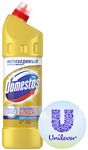 Чистящее средство для туалета DOMESTOS/ДОМЕСТОС 1000мл Ультра блеск