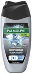 Гель для душа PALMOLIVE MEN 250мл"Арктический Ветер"
