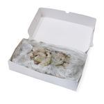 Креветки Vannamei Susami 16/20 с/м, б/г в панцире, блок 1,8кг, Эквадор (79340)