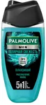 Гель для душа Palmolive Men Полярная свежесть охлаждающий 250мл